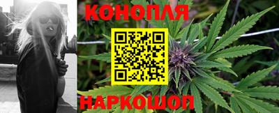 гидропоника Татарск